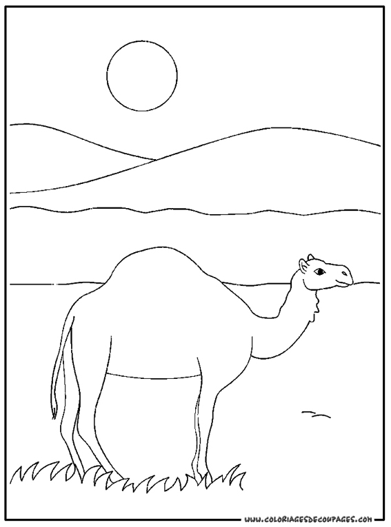 着色页: 单峰骆驼 (动物) #5931 - 免费可打印着色页