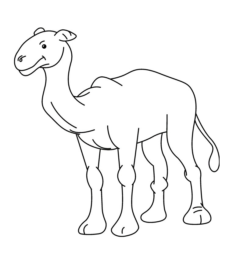 着色页: 单峰骆驼 (动物) #5949 - 免费可打印着色页