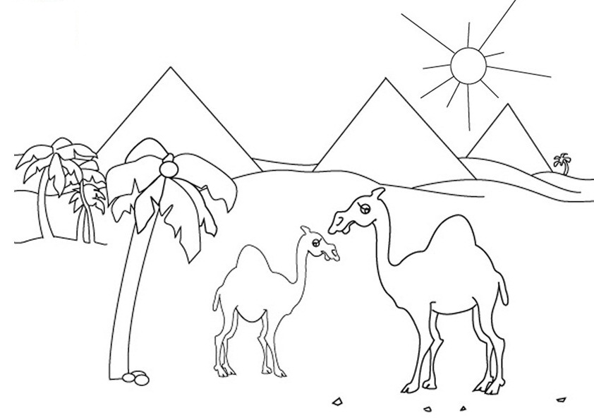 着色页: 单峰骆驼 (动物) #5950 - 免费可打印着色页