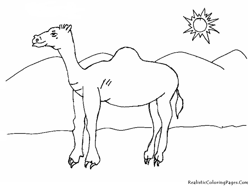 着色页: 单峰骆驼 (动物) #5964 - 免费可打印着色页