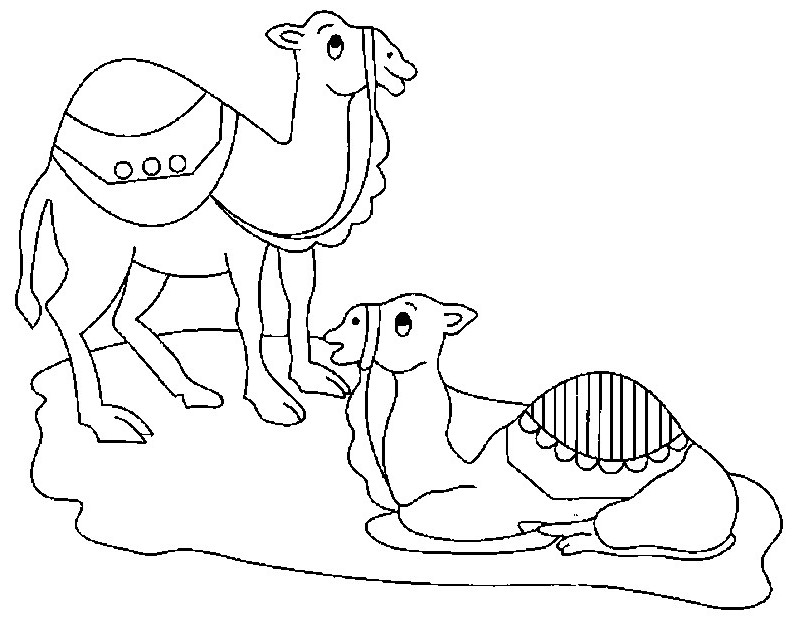 着色页: 单峰骆驼 (动物) #5977 - 免费可打印着色页