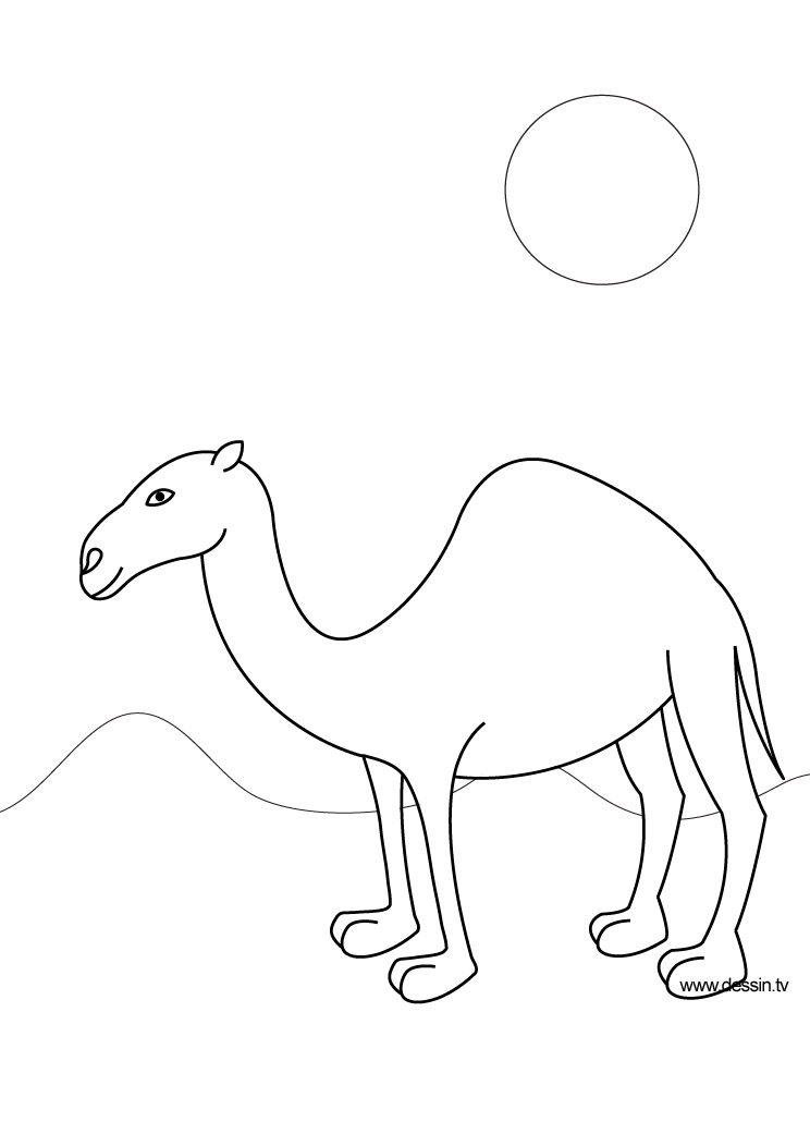 着色页: 单峰骆驼 (动物) #5985 - 免费可打印着色页