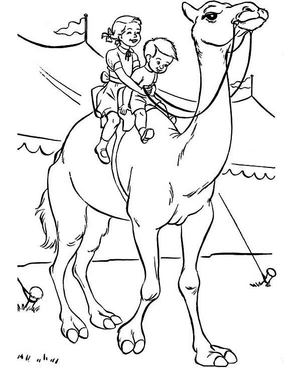着色页: 单峰骆驼 (动物) #6005 - 免费可打印着色页