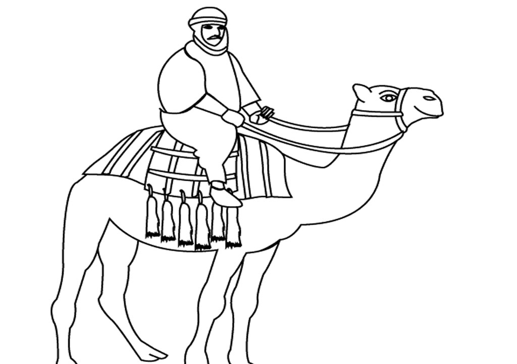 着色页: 单峰骆驼 (动物) #6011 - 免费可打印着色页