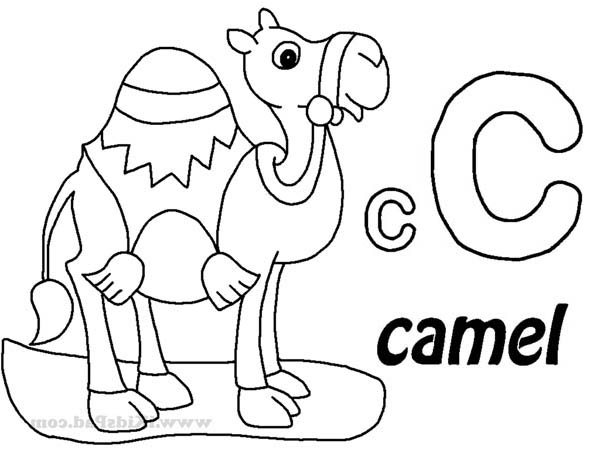 着色页: 单峰骆驼 (动物) #6034 - 免费可打印着色页