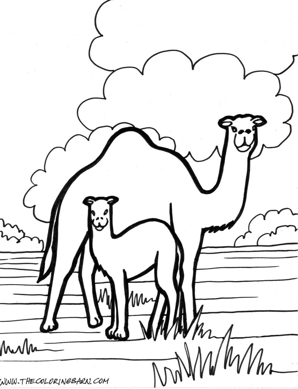 着色页: 单峰骆驼 (动物) #6043 - 免费可打印着色页