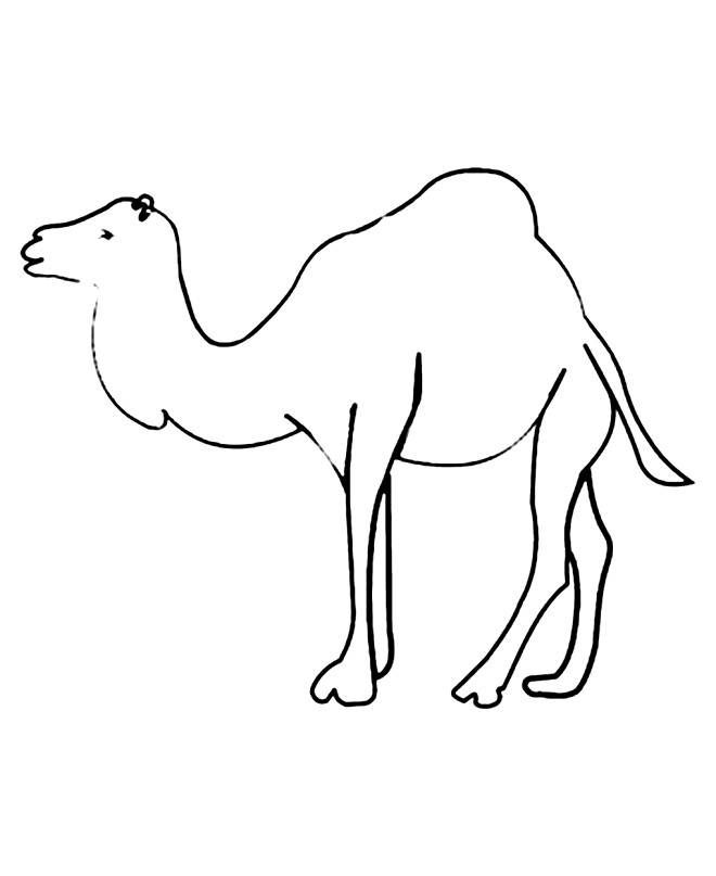 着色页: 单峰骆驼 (动物) #6045 - 免费可打印着色页