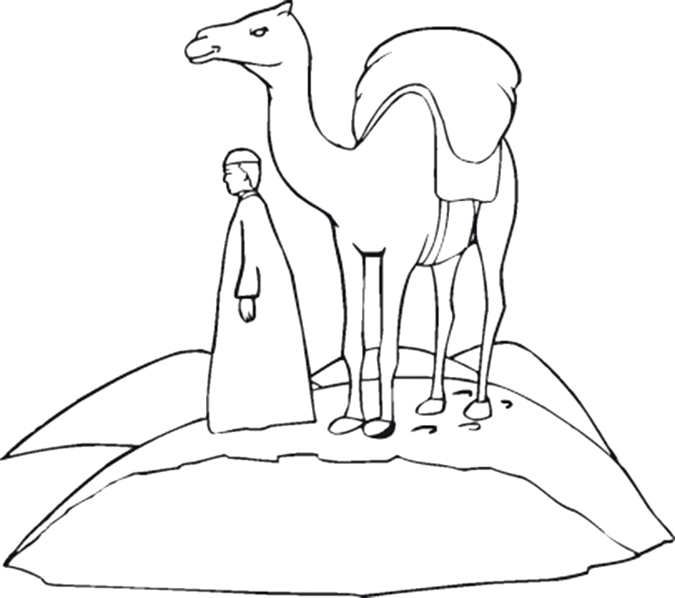 着色页: 单峰骆驼 (动物) #6070 - 免费可打印着色页