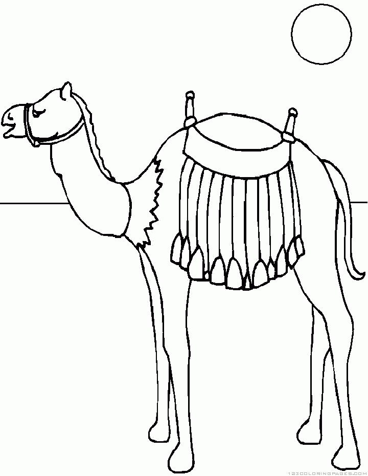 着色页: 单峰骆驼 (动物) #6073 - 免费可打印着色页