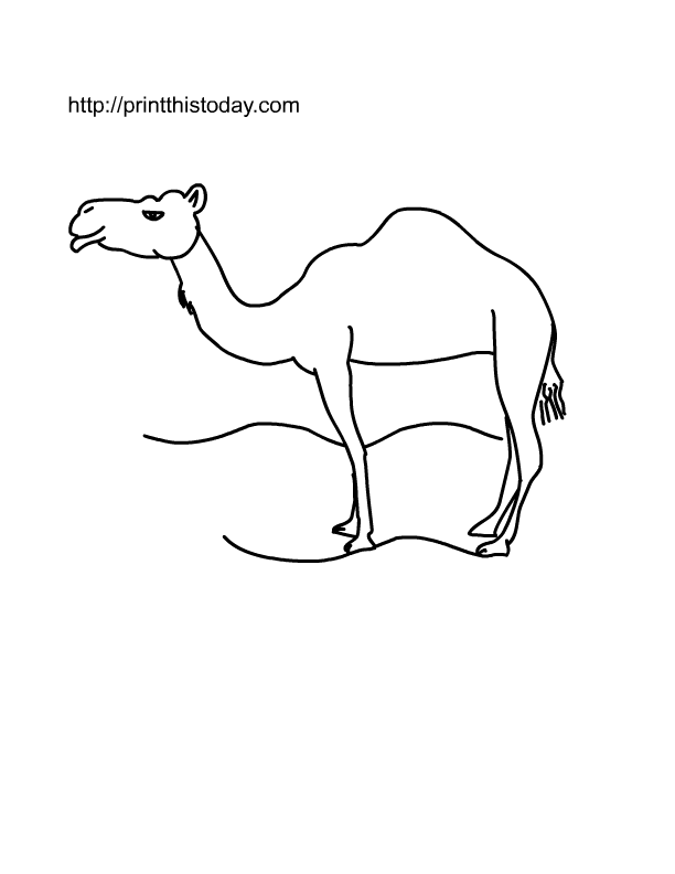 着色页: 单峰骆驼 (动物) #6076 - 免费可打印着色页