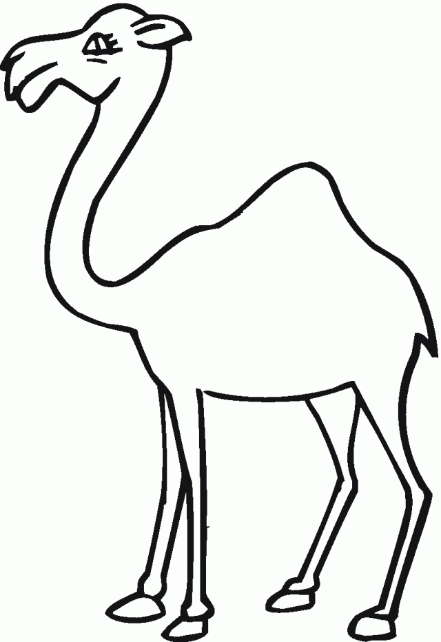 着色页: 单峰骆驼 (动物) #6078 - 免费可打印着色页