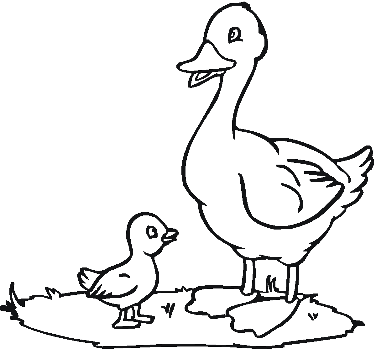 着色页: 鸭子 (动物) #1442 - 免费可打印着色页