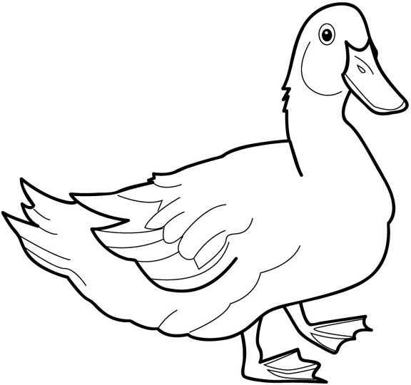着色页: 鸭子 (动物) #1452 - 免费可打印着色页