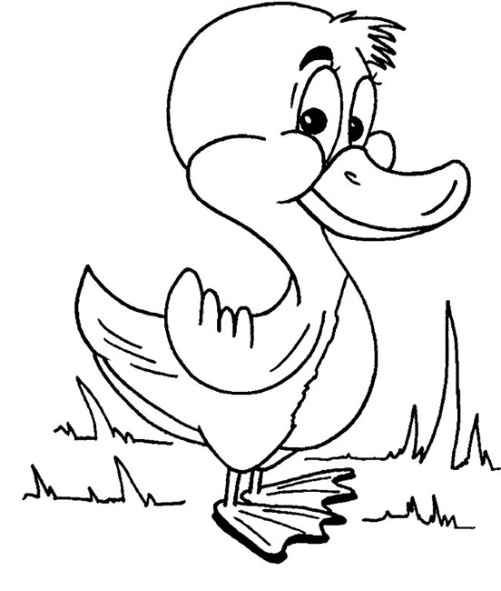 着色页: 鸭子 (动物) #1457 - 免费可打印着色页