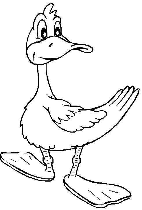 着色页: 鸭子 (动物) #1460 - 免费可打印着色页