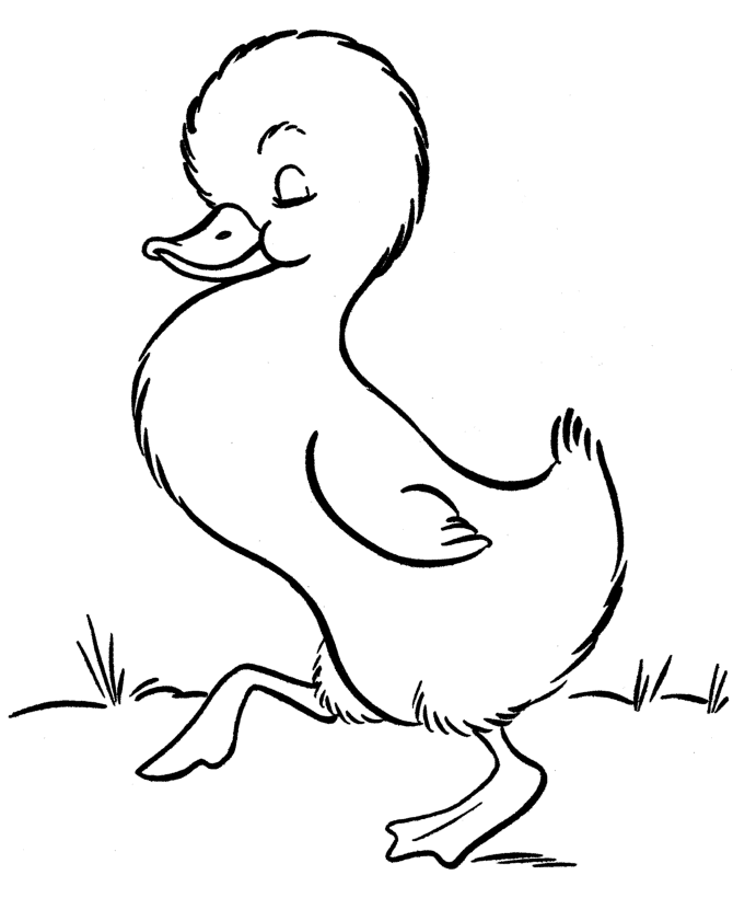 着色页: 鸭子 (动物) #1479 - 免费可打印着色页