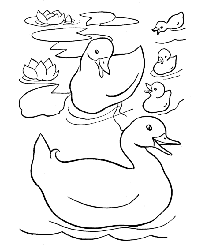着色页: 鸭子 (动物) #1494 - 免费可打印着色页