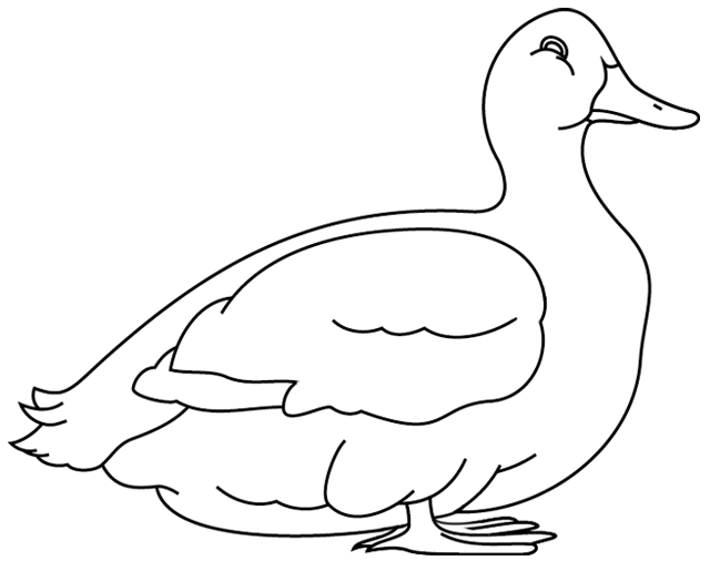 着色页: 鸭子 (动物) #1503 - 免费可打印着色页