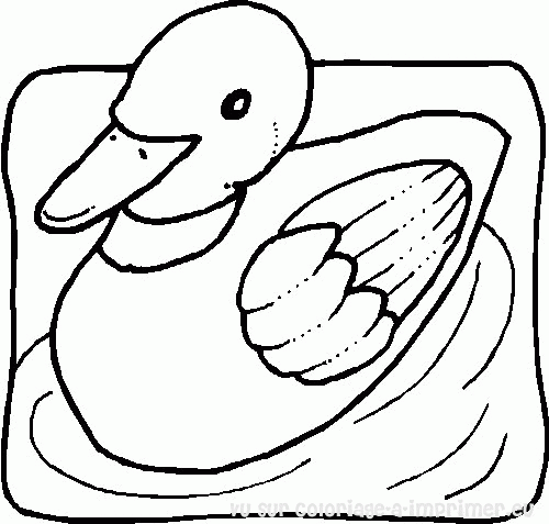 着色页: 鸭子 (动物) #1508 - 免费可打印着色页
