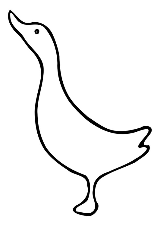 着色页: 鸭子 (动物) #1514 - 免费可打印着色页