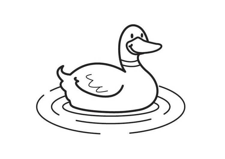 着色页: 鸭子 (动物) #1515 - 免费可打印着色页