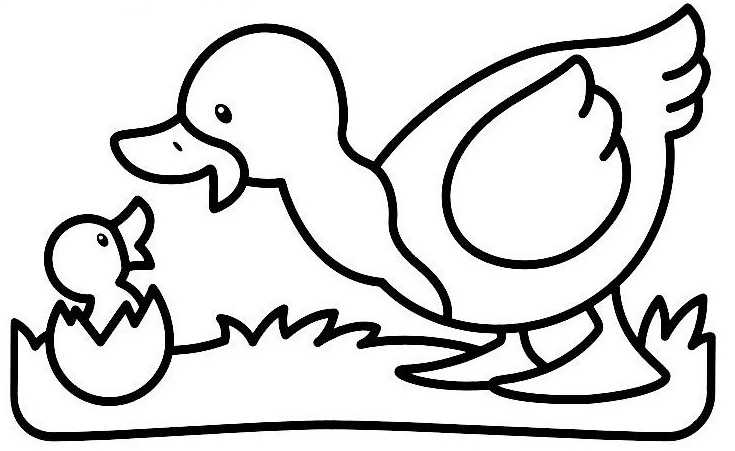 着色页: 鸭子 (动物) #1516 - 免费可打印着色页