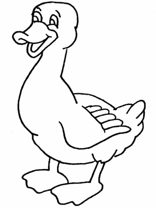 着色页: 鸭子 (动物) #1524 - 免费可打印着色页