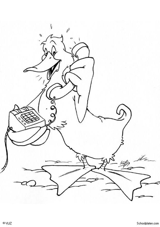 着色页: 鸭子 (动物) #1526 - 免费可打印着色页