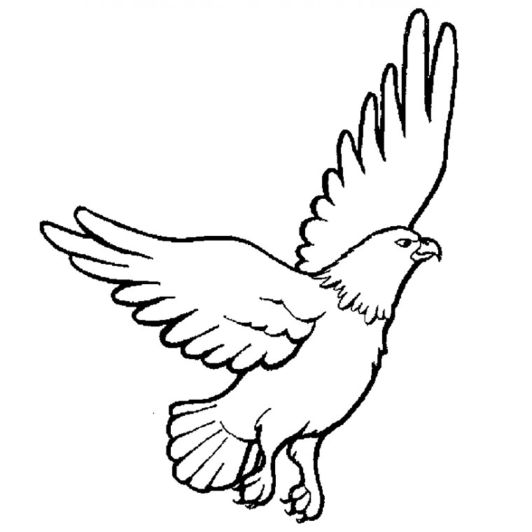 着色页: 鹰 (动物) #275 - 免费可打印着色页