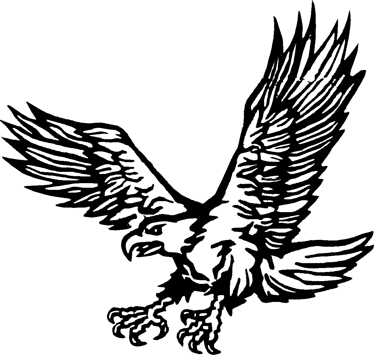 着色页: 鹰 (动物) #288 - 免费可打印着色页