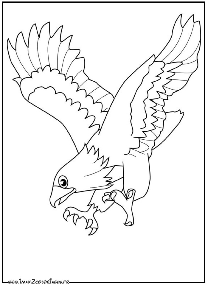 着色页: 鹰 (动物) #290 - 免费可打印着色页