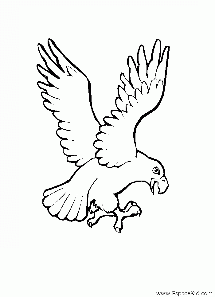 着色页: 鹰 (动物) #303 - 免费可打印着色页