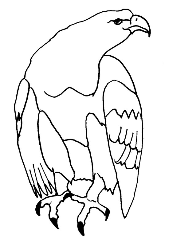 着色页: 鹰 (动物) #316 - 免费可打印着色页