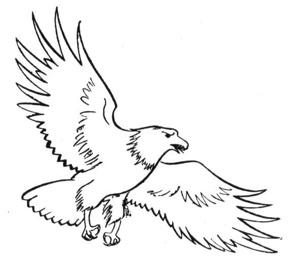 着色页: 鹰 (动物) #318 - 免费可打印着色页