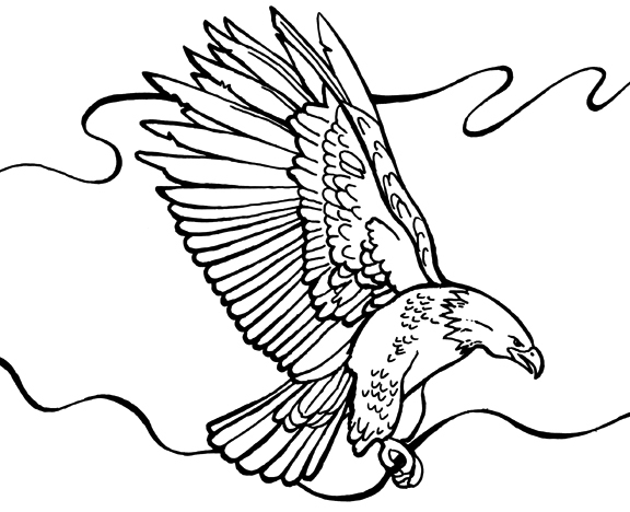 着色页: 鹰 (动物) #333 - 免费可打印着色页