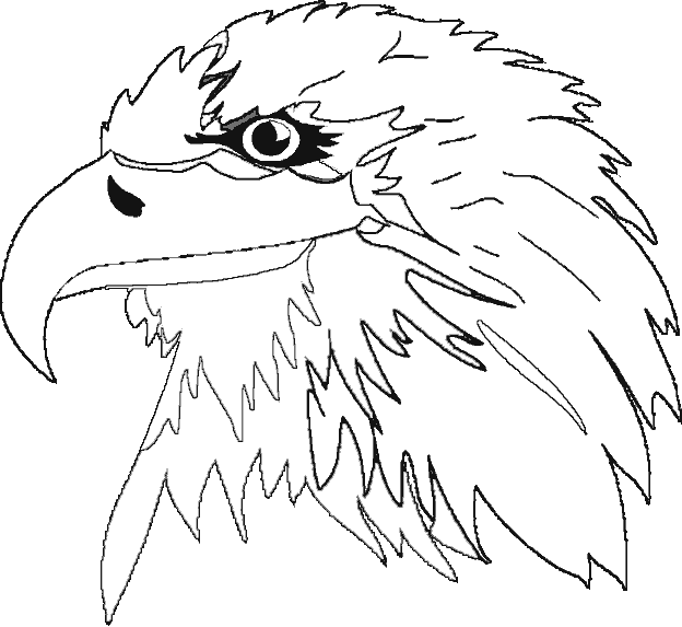 着色页: 鹰 (动物) #341 - 免费可打印着色页