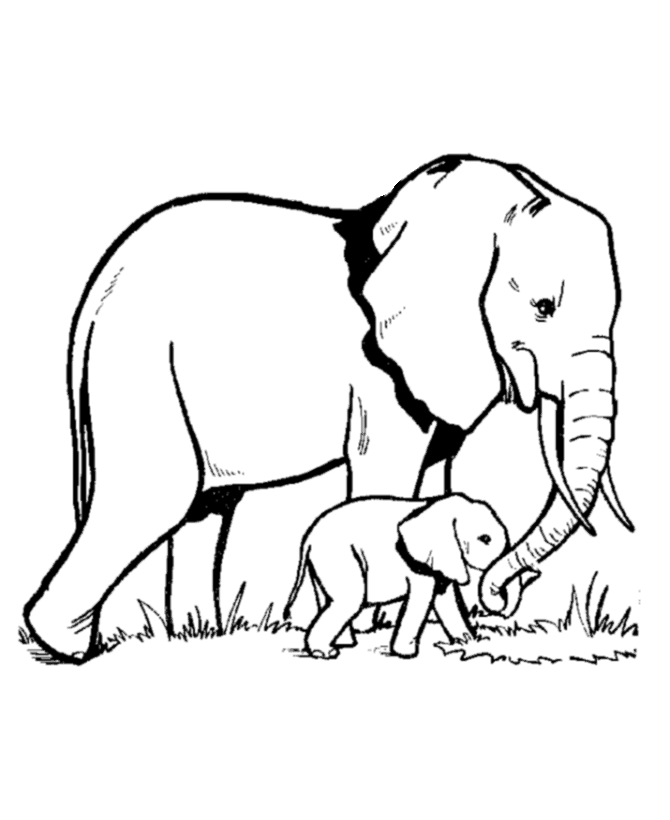 着色页: 大象 (动物) #6300 - 免费可打印着色页