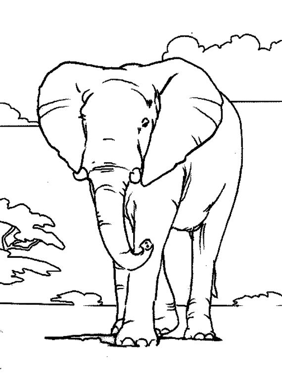 着色页: 大象 (动物) #6301 - 免费可打印着色页