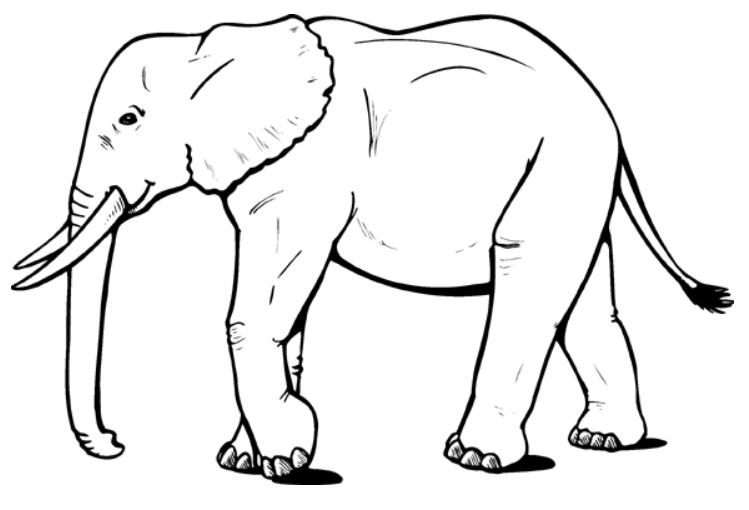 着色页: 大象 (动物) #6310 - 免费可打印着色页