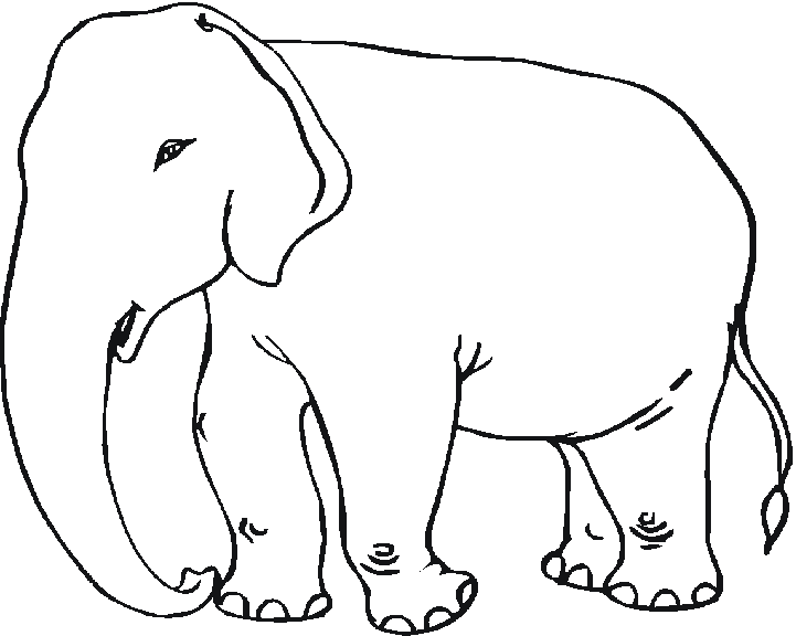 着色页: 大象 (动物) #6342 - 免费可打印着色页