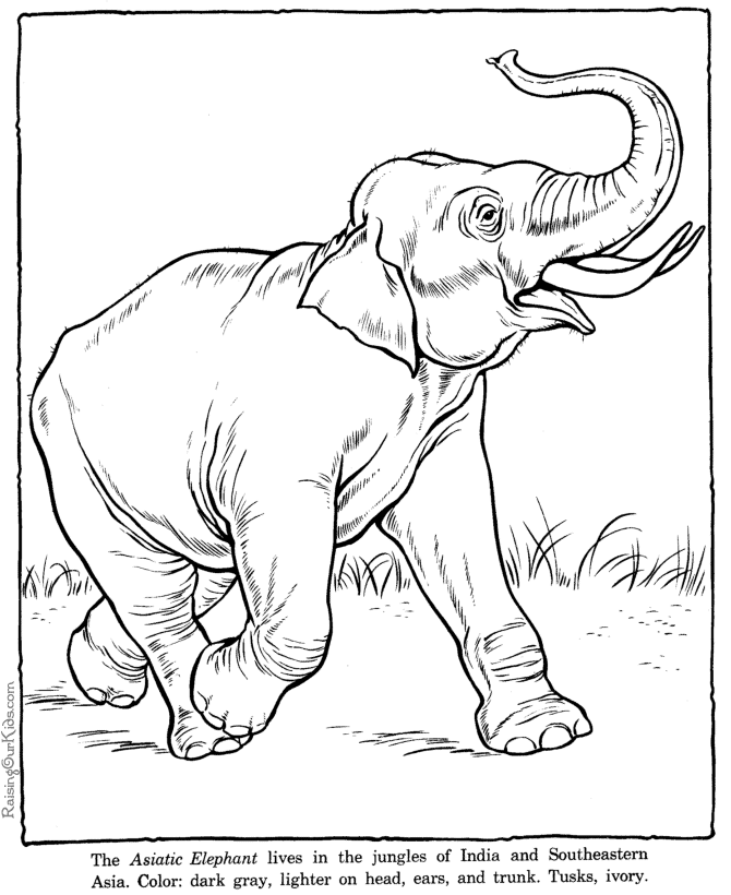 着色页: 大象 (动物) #6418 - 免费可打印着色页