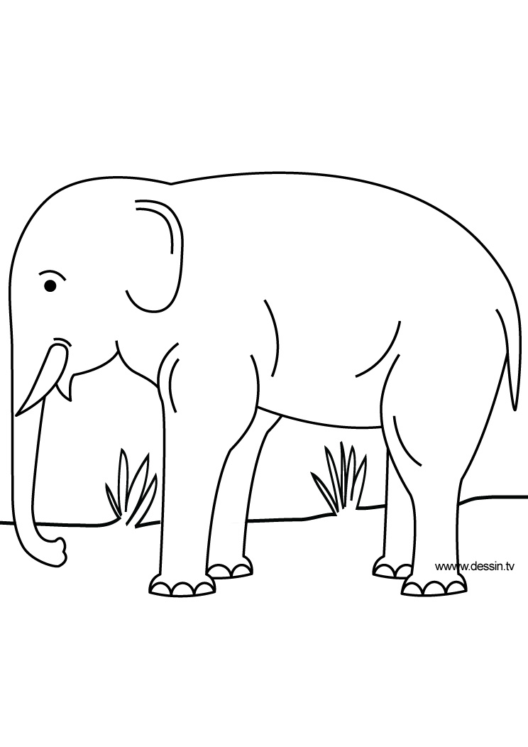 着色页: 大象 (动物) #6440 - 免费可打印着色页