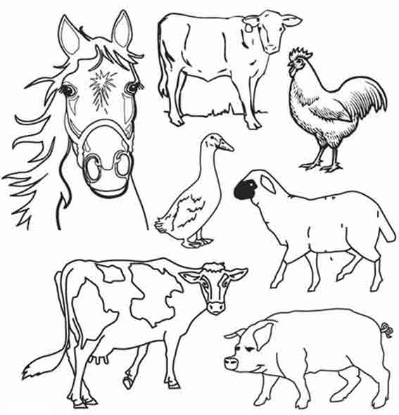 着色页: 农场动物 (动物) #21381 - 免费可打印着色页