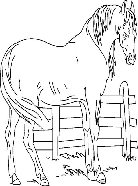着色页: 农场动物 (动物) #21399 - 免费可打印着色页