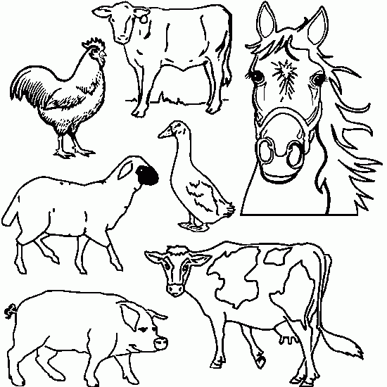 着色页: 农场动物 (动物) #21427 - 免费可打印着色页