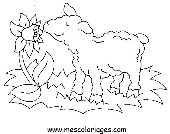 着色页: 农场动物 (动物) #21501 - 免费可打印着色页