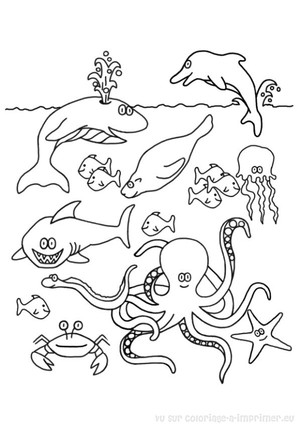 着色页: 鱼 (动物) #17036 - 免费可打印着色页