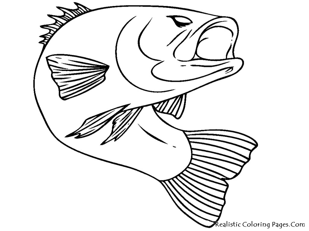 着色页: 鱼 (动物) #17040 - 免费可打印着色页