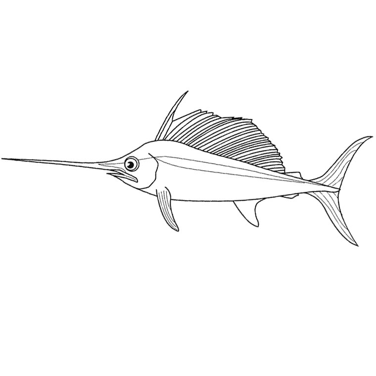 着色页: 鱼 (动物) #17109 - 免费可打印着色页