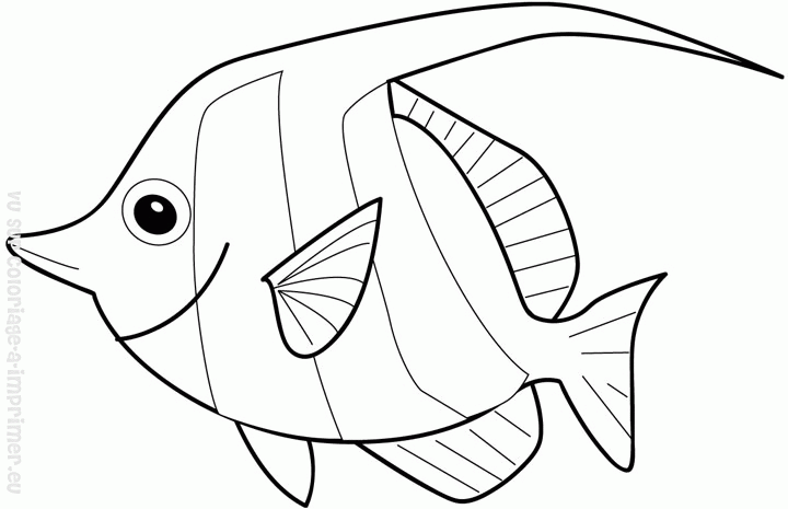 着色页: 鱼 (动物) #17122 - 免费可打印着色页